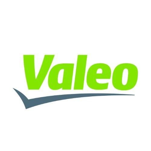 photo_6247013014612067125_x